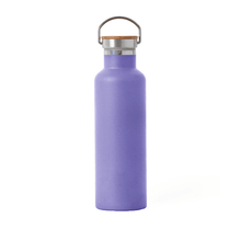 Afbeelding in Gallery-weergave laden, Elemental Classic 740ml Stainless Steel Water Bottle - Lavender