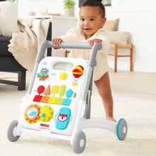 Load image into Gallery viewer, Skip Hop Explore & More 4-in-1 Grow Along Activity Walker Baby Toy