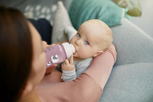 Load image into Gallery viewer, Avent Single Anti-Colic Feeding Deco Bottle 260ml / 9oz - Sheep