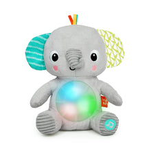 Afbeelding in Gallery-weergave laden, Bright Starts Hug-a-bye Baby