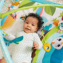 Load image into Gallery viewer, Tiny Love Meadow Days™ Gymini® Sunny Day Playmat