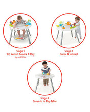 Load image into Gallery viewer, Skip Hop Explore & More Baby's View 3-Stage Activity Center