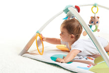 Load image into Gallery viewer, Tiny Love Into The Forest™ Gymini Deluxe