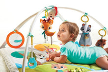 Load image into Gallery viewer, Tiny Love Into The Forest™ Gymini Deluxe