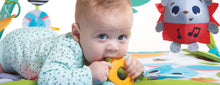 Load image into Gallery viewer, Tiny Love Meadow Days™ Gymini® Sunny Day Playmat