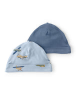 Carter's Purelysoft 2pc Baby Boy Planes/Blue Beanie Hats/Caps (0-3M)