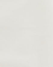 Carregar imagem no visualizador da galeria, Carter&#39;s 2pc Toddler Boy Ivory Shirt &amp; Shorts Set

