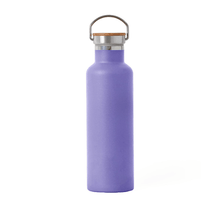 Afbeelding in Gallery-weergave laden, Elemental Classic 750ml Stainless Steel Water Bottle - Lavender
