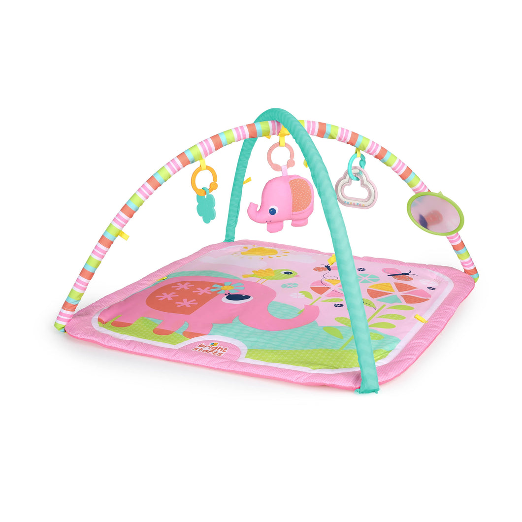 Bright Starts - Fanciful Flowers Activity Gym