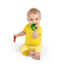 Load image into Gallery viewer, Bright Starts Juicy Chews 3pk Teethers
