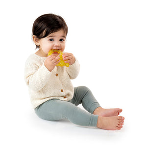 Ingenuity Cool Bite Water Teether - Bomby