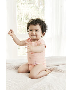 Carter's 5pc Baby Girl Multi Color Very Cute Bodysuit Set