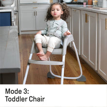 Load image into Gallery viewer, Ingenuity Trio 3-in-1 High Chair, Toddler Chair, Booster - Flora the Unicorn
