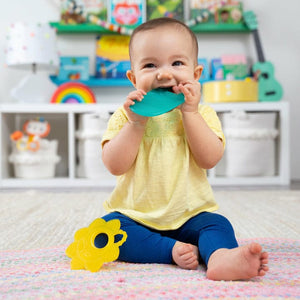 Bright Starts Sunny Soothers Teethers