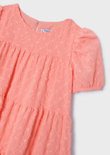 Load image into Gallery viewer, Mayoral Toddler Girl Pink Embroidered Chiffon Dress
