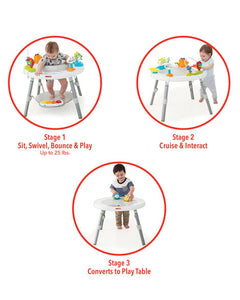 Skip Hop Explore &amp; More Baby's View 3-Stage Activity Center