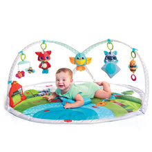 Carregar imagem no visualizador da galeria, Tiny Love Meadow Days™ Dynamic Gymini™

