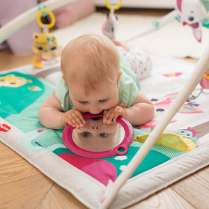 Tiny Love Tiny Princess Tales Gymini Deluxe